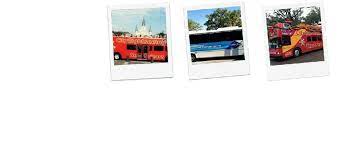 new orleans bus tours which are best
