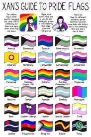 Pride flags are a diverse set of flags that are used for representing a gender or sexual identity that is fully part of the lgbt community. Pin On Politics No Hate
