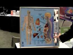 Visual Odyssey Wallchart Neuropatholator Youtube