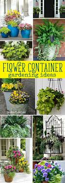 Flower Container Gardening Ideas