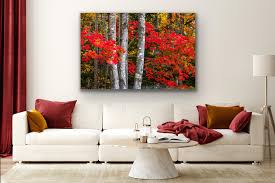 Red Themed Landscape Photography Prints