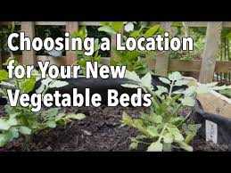 Location For Your New Vegetable Beds