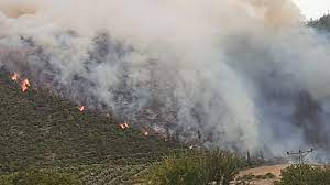 Son dakika: Bir orman yangını haberi de Osmaniye'den geldi