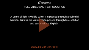 light is passed through true solution