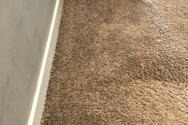pet damage carpet repair minneapolis mn