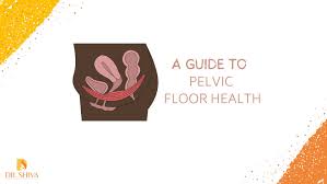 pelvic floor health dr shiva