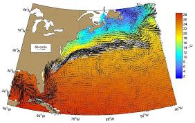 See gulf stream photos and images from satellite below, explore the aerial photographs of gulf stream. The Gulf Stream