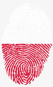 Poland flag png photo clipart background ,and download free photo png stock pictures and transparent background with high quality. Poland Flag Fingerprint Country 653060 Poland Fingerprint Png Transparent Png 1573x2488 Free Download On Nicepng