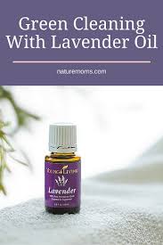 green cleaning with lavender essential oil