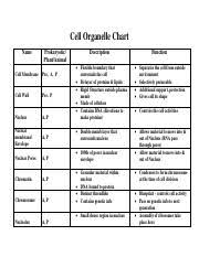Cells Organelle Chart Pdf Cell Organelle Chart Name