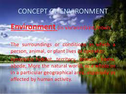 Hence the environment of an individual, object, element or system includes all of the other entities with which it is surrounded. Concept Of Environment