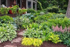 10 best shade garden plants