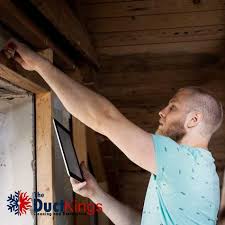 expert attic mold removal services