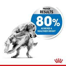 Royal Canin Medium Light Weight Care | Paws.com