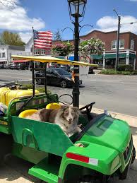 Most common industries in ridgefield, ct (%). Farewell Biscuit Ridgefield S Main Street Will Miss A Dog