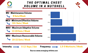 the optimal chest volume hypertrophy