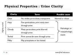 Urine Clarity Medical Laboratory Science Medical