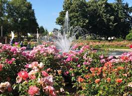 Rose Gardens Of Portland