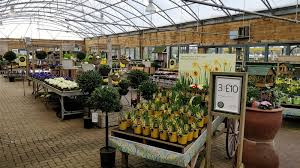 dobbies garden centre southport