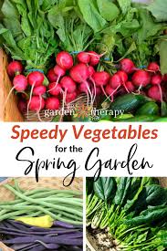 Sdy Vegetables To Grow In The Spring