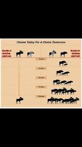 Moose Chart Moose Moose Chart Hunting