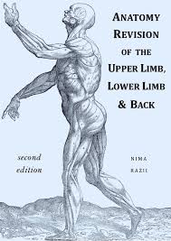 Anatomy Revision Of The Upper Limb Lower Limb Back