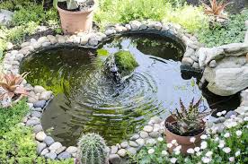 Best Small Pond Ideas For Your Garden