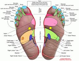 Reflexology Chart Foot Reflexology Reflexology