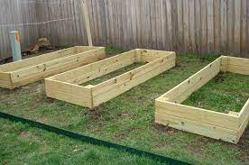 vegetable garden raised beds