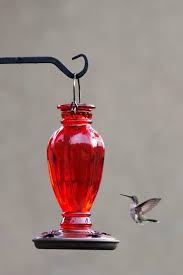 hummingbird nectar artzy foo