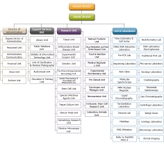 King Fahd Center For Medical Research Organizational Structure