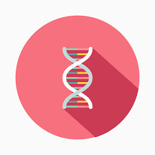 Biểu Tượng Baby Thiết Kế Phẳng Di Truyền Hình minh họa Sẵn có - Tải xuống  Hình ảnh Ngay bây giờ - ADN, Nghiên cứu di truyền, Biểu tượng - Ký hiệu