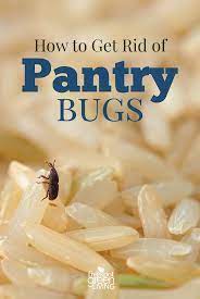 how to get rid of pantry bugs five