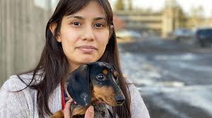 Dachshund puppies for sale contact vancouver dachshund breeders near you using our free dachshund breeder search tool below! Pebbles The Dachshund Puppy Attacked By Off Leash Husky In B C Interior Vancouver Island Free Daily