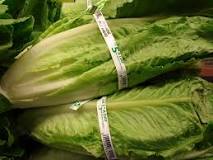 Why is it called hearts of romaine?