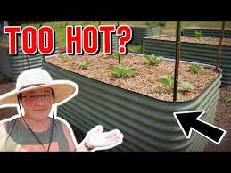 Do Raised Beds Get Too Hot Soil