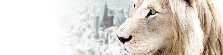 What would you like the power to do? Our Investment Views What We Think Liontrust Asset Management Plc