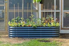 The Best Raised Bed Gardens To Make