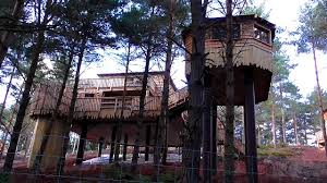 The new accommodation offering is available to book now and opened to guests on 24 august 2020. New Whinfell Forest Treehouse Construction Update Center Parcs Youtube