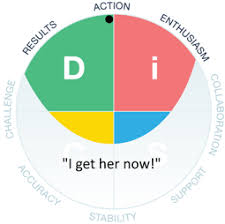 Examples Of 12 Disc Personality Types Disc Profiles