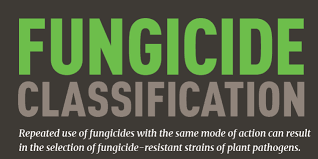 Fungicide Classification Chart Available North Carolina