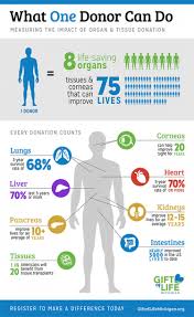 Benefits Of Organ Donation How Organs Tissue Help
