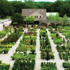 frisella nursery your local source for