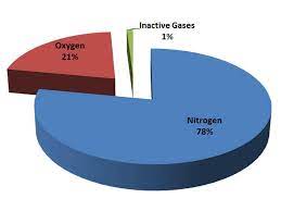 pie graph