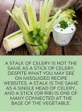 How many celery stalks are in a stick?