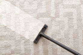 carpet steam cleaning boston ma roy