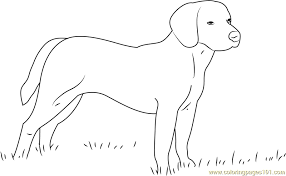 The beagle coloring pages is inspired by the dog type named beagle. Beagle Dog Coloring Page For Kids Free Dog Printable Coloring Pages Online For Kids Coloringpages101 Com Coloring Pages For Kids