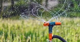 A swale, in the right context, allows you to passively catch and hold that. Garden Irrigation 101 Ollas Soaker Hoses Other Methods Gardener S Path