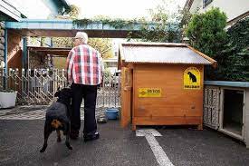 ガレージ 所さんの97channel 毎日を楽しくするアイデアがここに 犬小屋 小屋 所 ジョージ