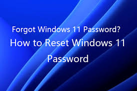 reset windows 11 pword